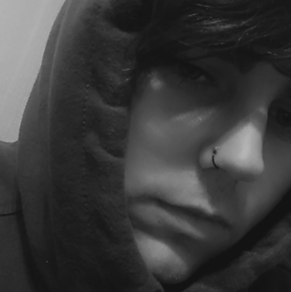 Meet your Posher, Tucker - Picture 1 of 1